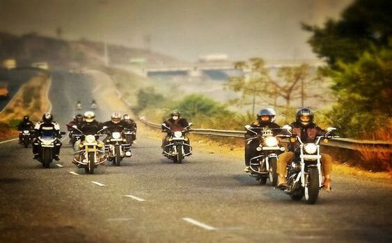 8b5cf578ed619876438ba1c3a66751da (1)