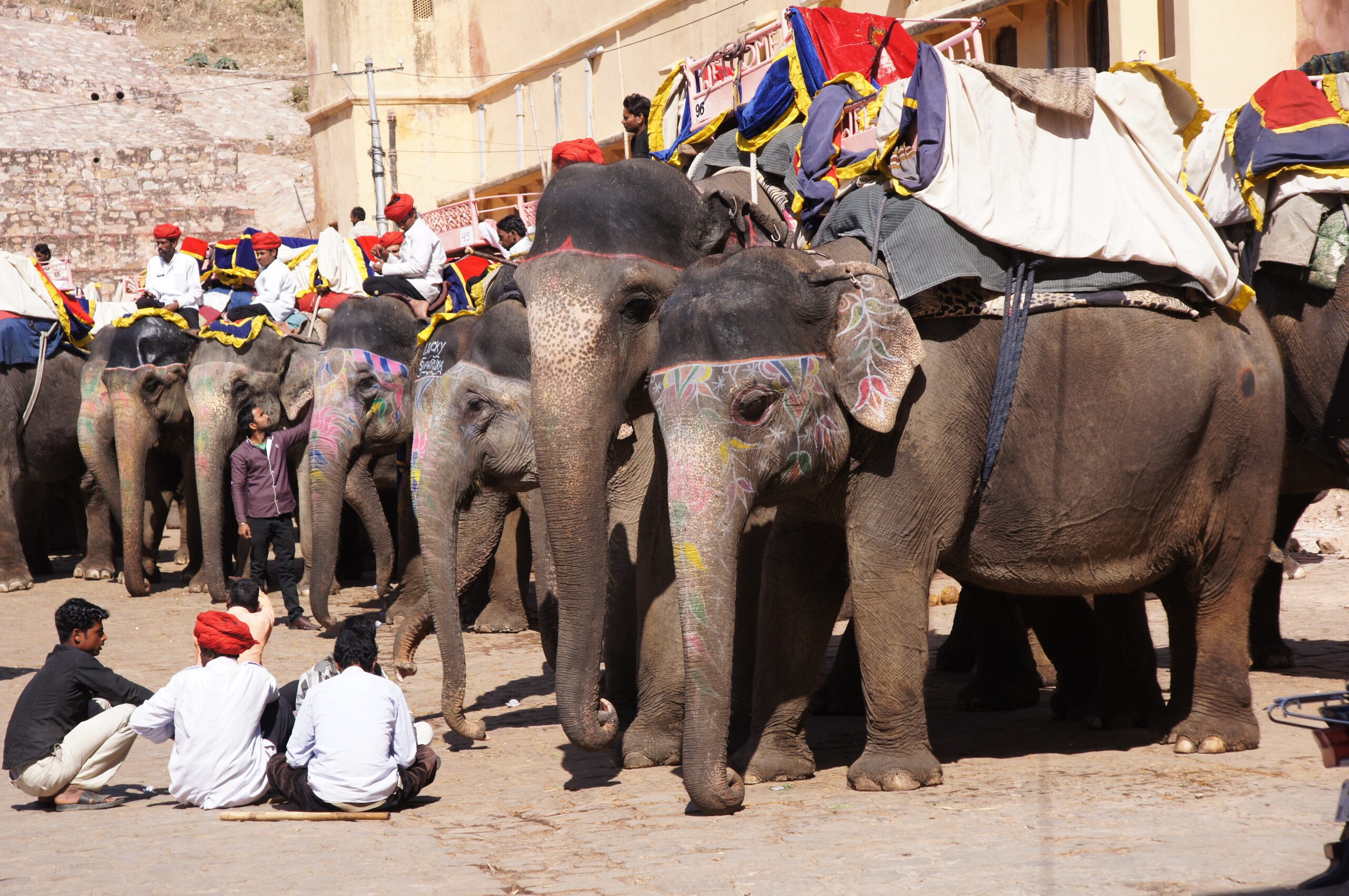 pexels-gaurav-gupta-12948507 (1)